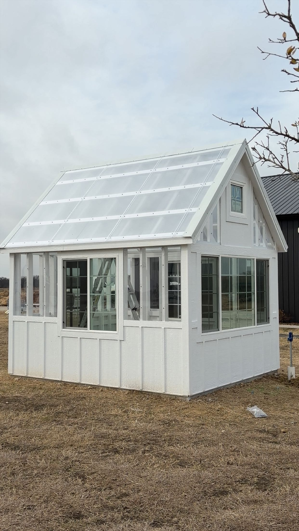 Modern Greenhouse image 3