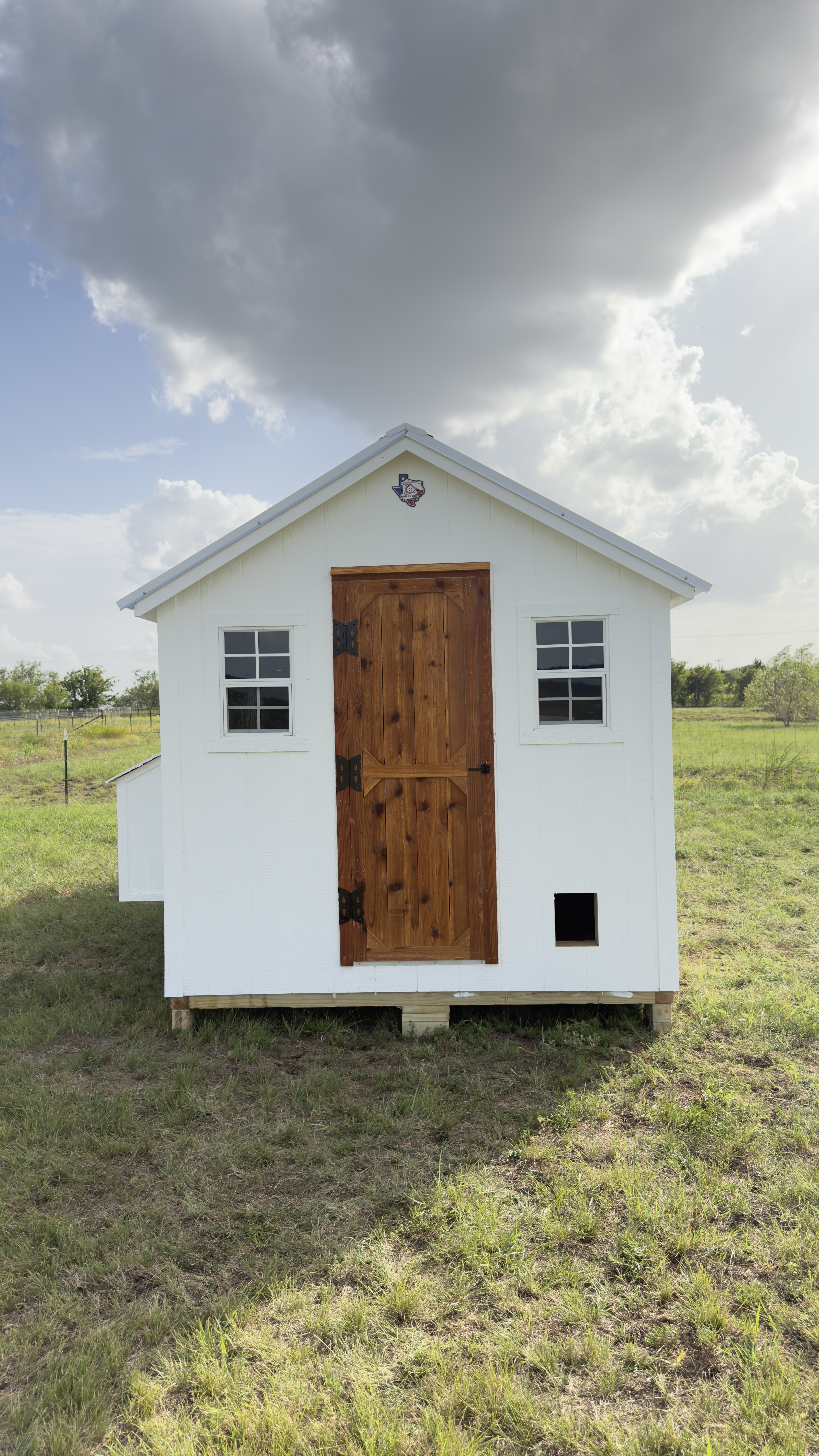 Modern Walk in Chicken Coop image 2